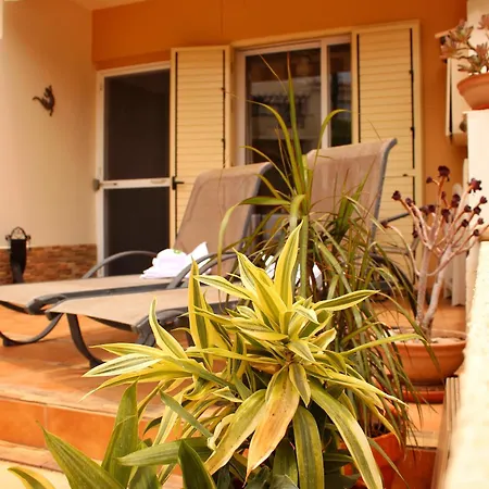 Spitaki * Πάφος